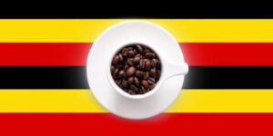 Uganda’s coffee boom is changing its role in the global supply chain